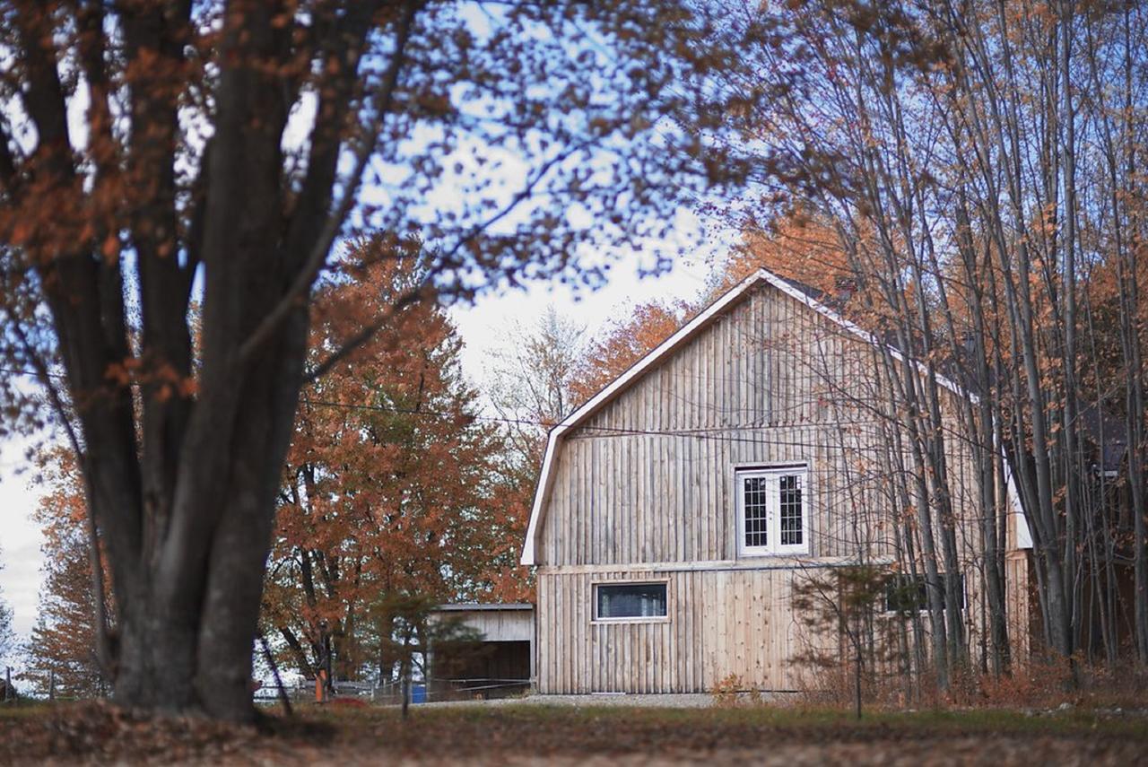 Gite O'Bordeleau (Adults Only) Bed & Breakfast Luskville Exterior photo